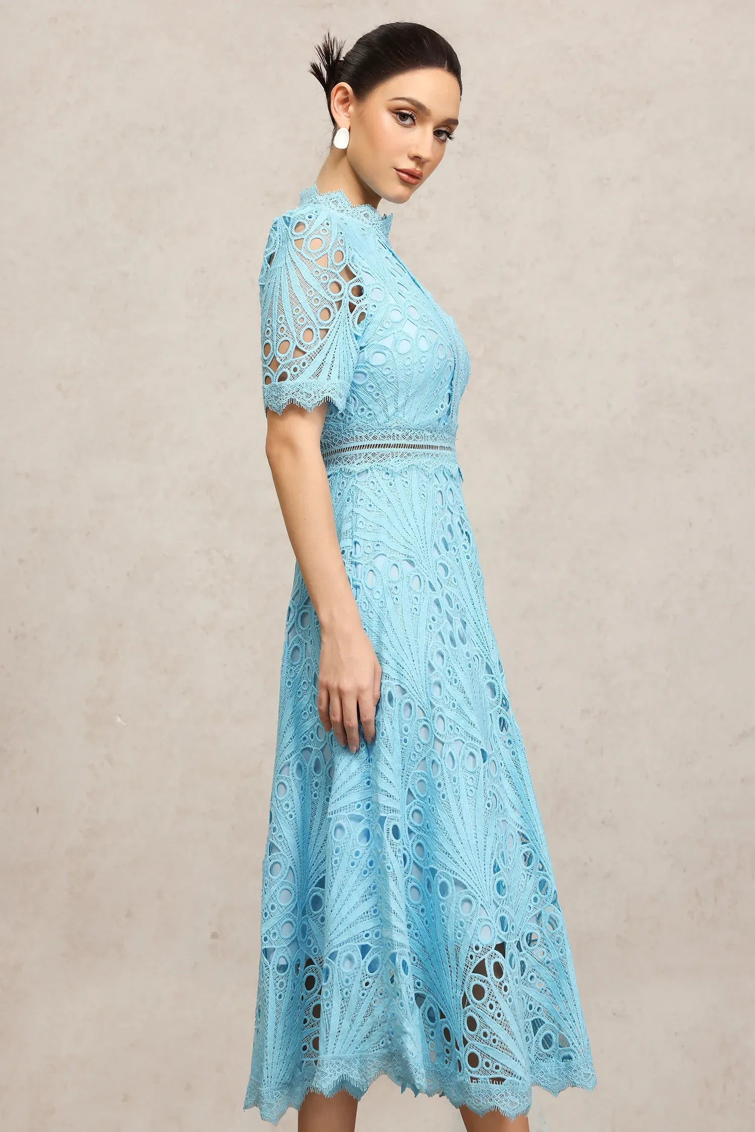Sky Garden Lace Midi Dress